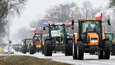 La colère des agriculteurs, enjeu déterminant des élections municipales et régionales polonaises | Questions de développement ... | Scoop.it
