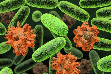 Une bactérie mortelle inquiète l'Allemagne | Europe1.fr | Toxique, soyons vigilant ! | Scoop.it