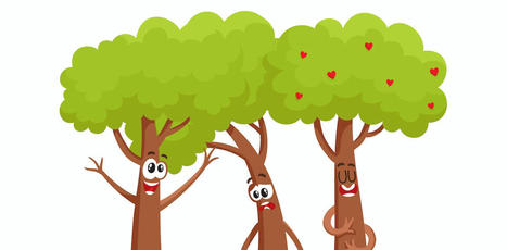 Les arbres peuvent-ils communiquer entre eux ? | Biodiversité | Scoop.it