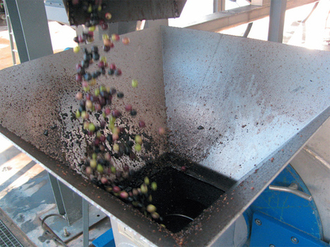 Les solutions écologiques d’Olea Food Meknès | ITERG Environnement et Eco-industries | Scoop.it