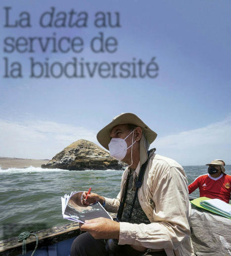 La data au service de la biodiversité - Science & vie | Biodiversité | Scoop.it