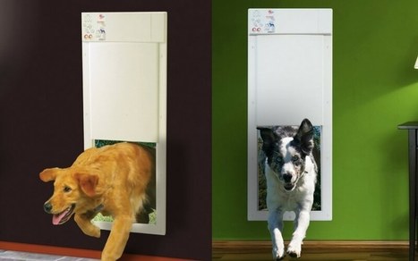 Rfid Dog Door In Best On Internet Scoop It