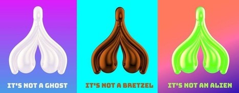 Tout est beau dans le clito - Altermonde-sans-fronti&egrave;res | Le fil d'actualit&eacute;s de l'URCA | Scoop.it