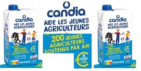 Sodiaal : Candia aide les jeunes agriculteurs | Lait de Normandie... et d'ailleurs | Scoop.it