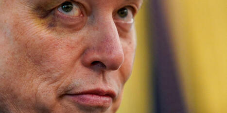 South African-born Elon Musk awkwardly rages over immigrants getting to vote - Raw Story | Backstabber Watch | Scoop.it