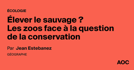 &Eacute;lever le sauvage ? Les zoos face &agrave; la question de la conservation | Experts UPEC | Scoop.it