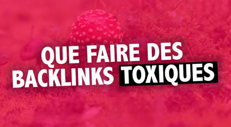 Comment se débarrasser des backlinks toxiques ? | Site web et référencement | Scoop.it