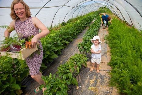 Circuits courts : la lente évolution des producteurs | Développement économique en milieu rural | Scoop.it