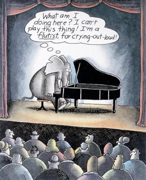 The elephant at the piano - John Stepper's Blog | #HR #RRHH Making love and making personal #branding #leadership | Scoop.it