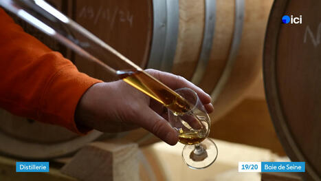 Ce rhum légendaire revit grâce à un distillateur du Havre | Découvrir les spiritueux français avec Reflets de France - Agence de voyages | Scoop.it