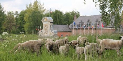La ville de Lille réintroduit des animaux au nom de la biodiversité | Paysage - Agriculture | Scoop.it