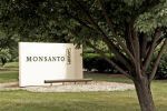 Un maïs OGM Monsanto mis en échec par l' "insecte à 1 milliard de dollars" | Biodiversité - @ZEHUB on Twitter | Scoop.it