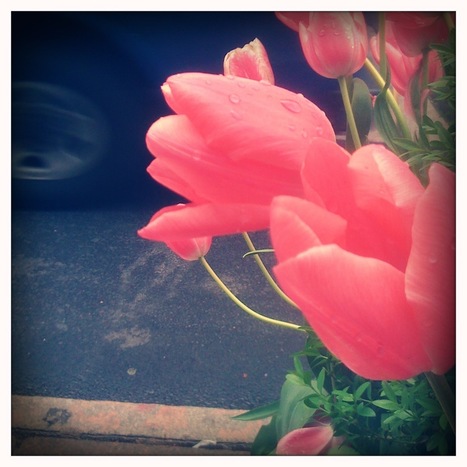 Choosing summer school | Education & Teaching | Scoop.it