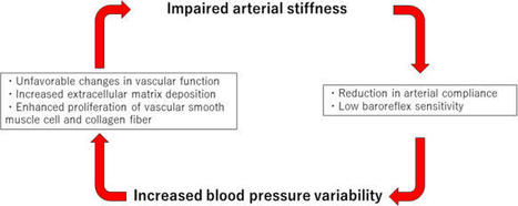 Blood pressure variability and arterial stiffness: the chicken or the egg? | Hypertension Research #prevention #assessment #cardiovascular | #VascularAging - #AgeArtériel - #ArterialStiffness -RigiditéArtérielle | Scoop.it