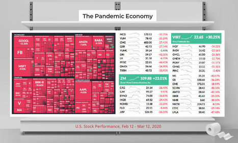 The Pandemic Economy: Which Stocks are Weathering the Storm? | IELTS, ESP, EAP and CALL | Scoop.it