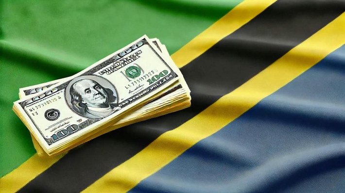 More De-Dollarization – Tanzania Seeks to Limit Use of the Dollar | Financial Markets Report  - Transforming Money Into Wealth | Scoop.it