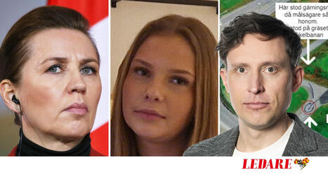 Sverige måste lära av Danmark om utvisningar | 1Uutiset - Lukemisen tähden | Scoop.it