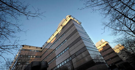 Flera anh&ouml;riga till h&ouml;g polischef gripna i narkotikah&auml;rva | 1Uutiset - Lukemisen t&auml;hden | Scoop.it