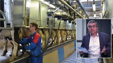 Conjoncture laitière du Cniel - prix du lait | Economie de l'Elevage | Scoop.it