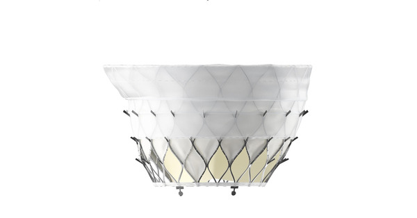 First Implant of KingstronBio's ProStyle M&reg; Transcatheter Mitral Valve System Successfully Completed in National Multicenter Confirmatory Study | Transcatheter Treatment of Mitral Regurgitation | Scoop.it