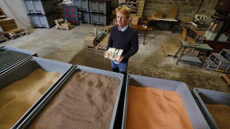 Croque Graines, une marque "made in Armbouts-Cappel", productrice de cultures exotiques | revue de presse | Scoop.it