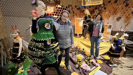 Des costumes aux ruches, des vitrines aux insectes, &laquo;&nbsp;tout est &agrave; vendre&nbsp;&raquo; &agrave; l&rsquo;API, le mus&eacute;e des Abeilles | Vari&eacute;t&eacute;s entomologiques | Scoop.it