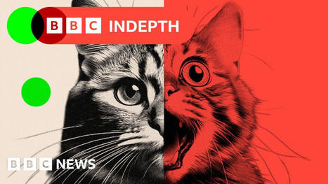 AI 'slop' is transforming social media - and there's a backlash | AI for All | Scoop.it