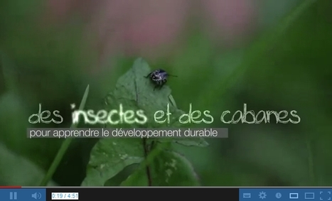Insectes et cabanes pour apprendre le développement durable | Variétés entomologiques | Scoop.it
