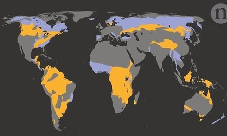 Researchers map areas of the world that can sustain population surge | IELTS, ESP, EAP and CALL | Scoop.it