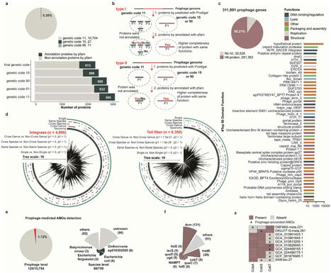 Comprehensive discovery and functional characterization of diverse prophages in the pig gut microbiome | frn | RMH | Scoop.it