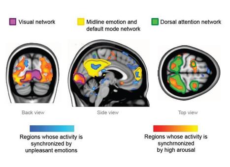 Synchronized brains: Feeling strong emotions makes people's brains 'tick together' | Science News | Scoop.it