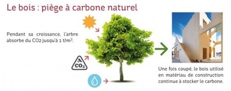 Etude Woodeum / Carbone 4 : le CLT révolutionne l'empreinte carbone du bâtiment | Build Green, pour un habitat écologique | Scoop.it