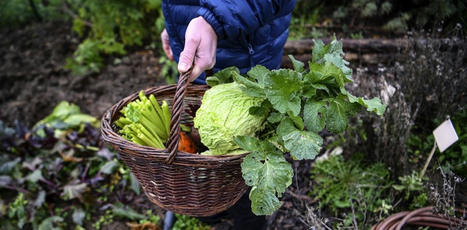 FRANCE : Demain, un secteur agricole porté par des entreprises « à mission » ? | CIHEAM Press Review | Scoop.it