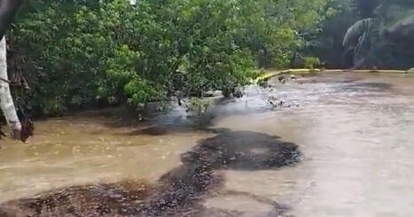 Confirman nuevo derrame de petróleo del oleoducto norperuano en la provincia de Condorcanqui en Amazonas - Infobae / le 12.02.2025 | Pollution accidentelle des eaux (+ déchets plastiques) | Scoop.it