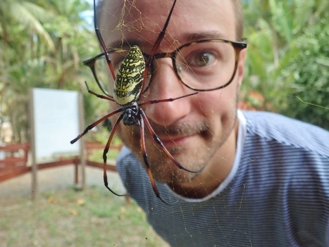 Comment la diversité des concepts humains de la nature affecte la conservation de la biodiversité | EntomoNews | Scoop.it