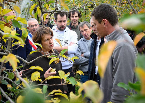 Souveraineté alimentaire : Annie Genevard sonne la "mobilisation générale" | Revue de presse économique du Sud Touraine | Scoop.it
