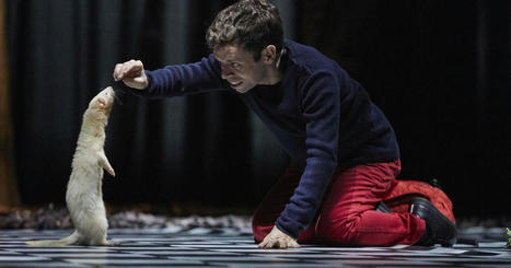 Etienne Saglio, la magie à flore de peau – | Revue de presse théâtre | Scoop.it