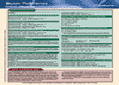 Mobile mayhem: The five biggest enterprise security threats | TechRepublic | scitechno | Scoop.it