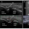 Rheumatology-Rhumatologie