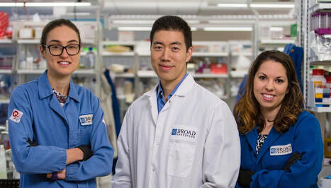 Gene Editing Pioneer David Liu: Fixing Baby’s Rare Disease Heralds New Era | Genetic Engineering in the Press by GEG | Scoop.it