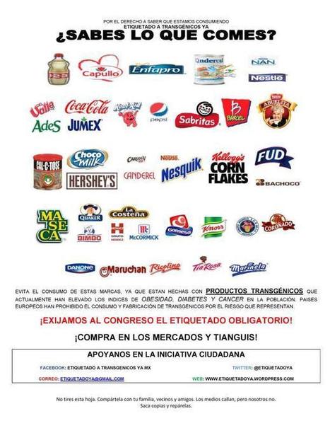 Top 20 de comida transgénica cancerígena que debemos evitar | PIENSA en VERDE | Scoop.it