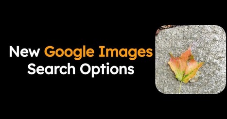  An Overview of the New Google Images Search Options | TIC & Educación | Scoop.it