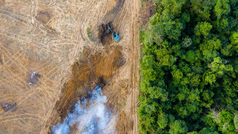 Seules 3 % des terres de la planète sont encore écologiquement intactes | Histoires Naturelles | Scoop.it