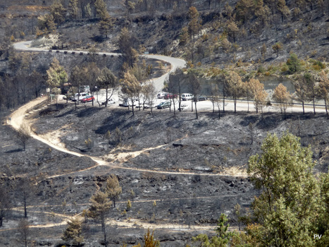 Images des ravages causés par l'incendie à Lecina (Rio Vero en Sierra de Guara) | Vallées d'Aure & Louron - Pyrénées | Scoop.it