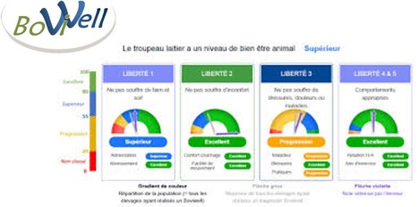 Les fermes laitières présentent des résultats BoviWell concluants | Actualités de l'élevage | Scoop.it