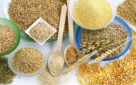 LOOK: How To Choose The Healthiest Grains | AIHCP Magazine, Articles & Discussions | Scoop.it