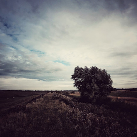 How to Use Snapseed: An In-Depth Tutorial Guide | Photography by products | Scoop.it