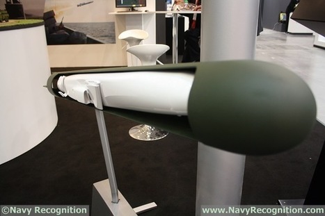 Kongsberg présente la version pour sous-marins de son missile NSM au salon Balt Military Expo 2014 | Newsletter navale | Scoop.it