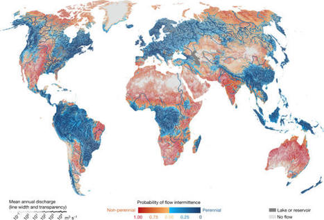 Global prevalence of non-perennial rivers and streams | Biodiversité | Scoop.it