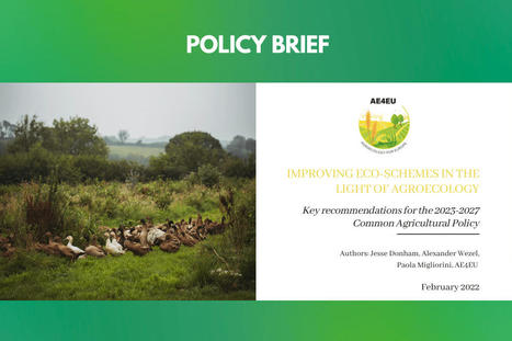 ‘Improving eco-schemes in the light of agroecology’ - Policy Brief | AE4UE | Agroecologie et Systèmes Alimentaires Durables | Scoop.it